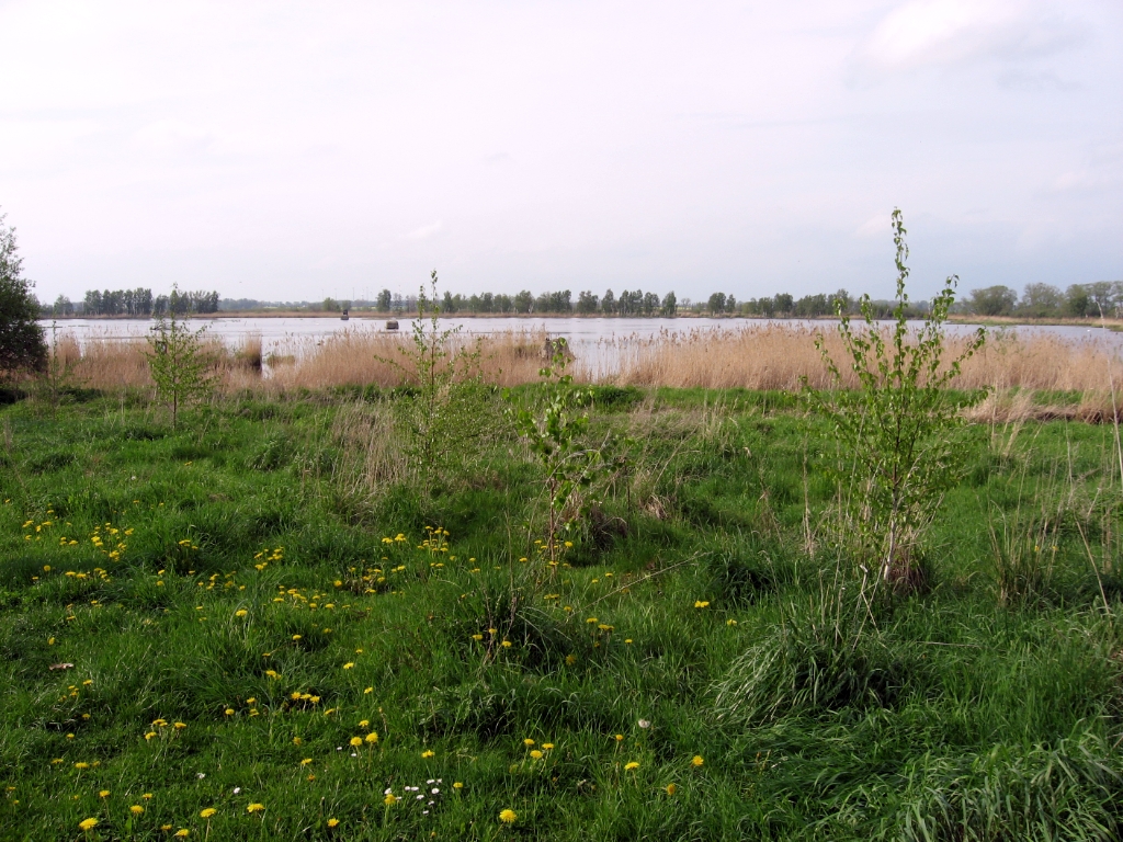 Duitsland Elly (43)